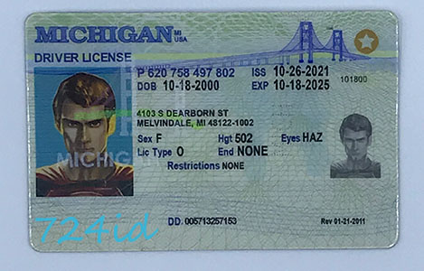 Michigan Fake ID & DL 1 Card Front
